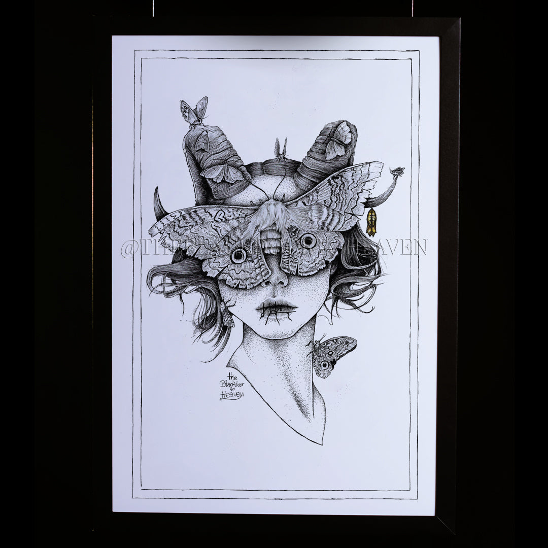 Moth's Queen - Print